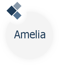amelia.solutions